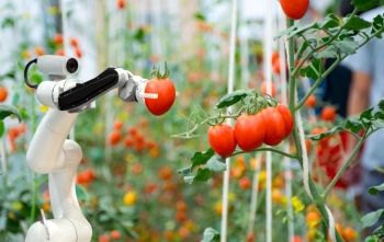 Đổi mới sáng tạo trong nông nghiệp vẫn còn nhiều khoảng trống