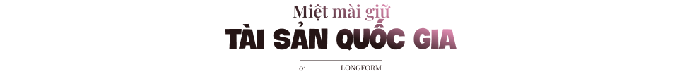 Người mang quốc hoa dệt thành lụa, giữ hồn quê trong từng sợi tơ sen