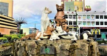 Kuching - 'Thành phố của mèo' tại Malaysia