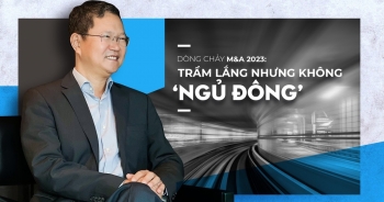 Dòng chảy M&amp;A: Trầm lắng nhưng không 'ngủ đông'