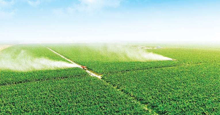 Thaco muốn ph&aacute;t triển n&ocirc;ng nghiệp quy m&ocirc; lớn tại L&agrave;o.