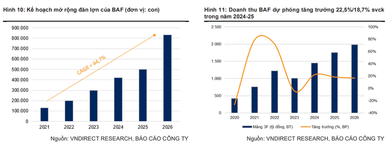 Ảnh: VNDirect Research