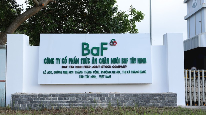 VNDirect nhận định về triển vọng của CTCP BAF