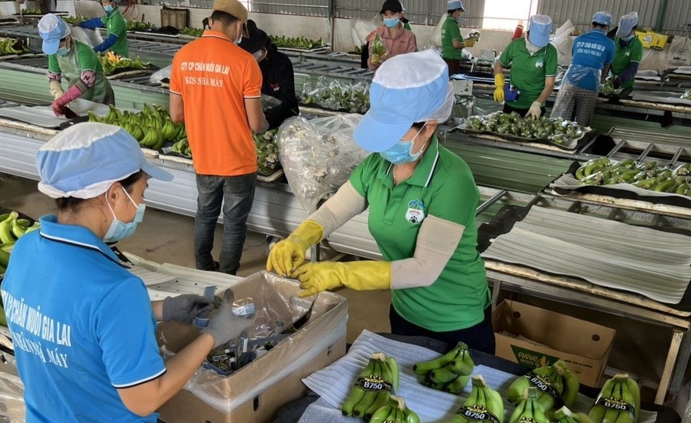 Những doanh nghiệp đầu tiên hé lộ lợi nhuận 6 tháng đầu năm 2025