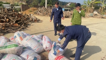 Chính phủ mạnh tay với những vi phạm về an toàn thực phẩm