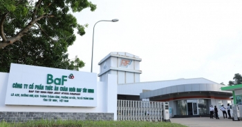 BAF dự kiến phát hành hơn 24 triệu cổ phiếu trả cổ tức