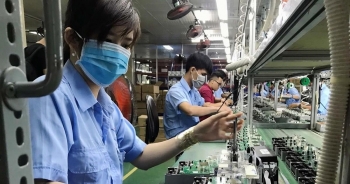 Bà Phạm Chi Lan: 'Không thể cứ thấy vốn FDI vào là thích'