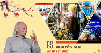 GS Nguyễn Mại: Vốn FDI năm 2022 có thể đạt 35-36 tỷ USD