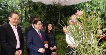 Khám phá chính sách 'ngoại giao hoa lan' độc đáo của Singapore