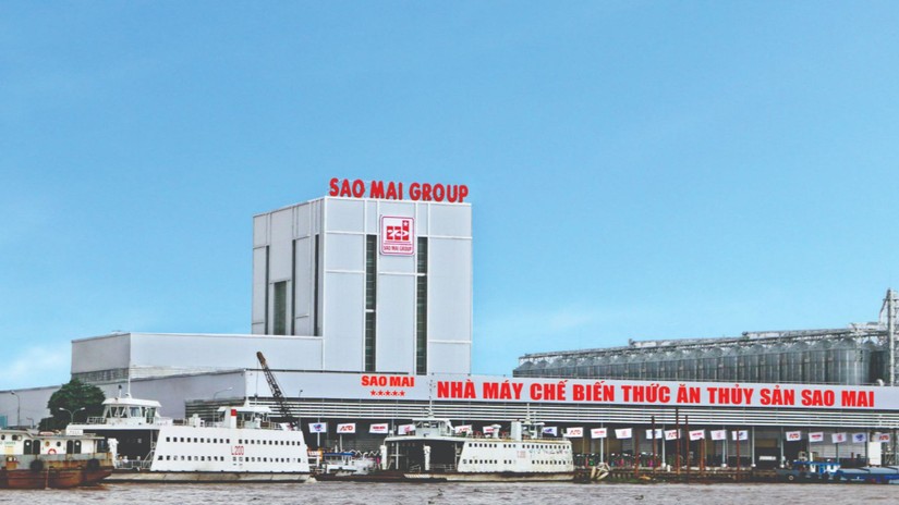 Sao Mai dự kiến tổ chức ĐHĐCĐ 2023 v&agrave;o th&aacute;ng 4