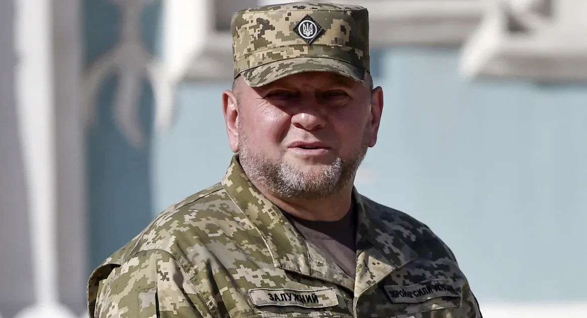Tổng thống Ukraine Zelensky sa thải Tổng tư lệnh quân đội