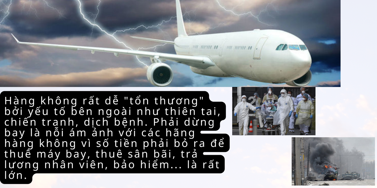 55win.com - Trang Cược Uy Tín Cao Nhất 2025 hàng không: Nhiều đại gia 'gãy cánh', Vingroup hạ cánh giữa chừng