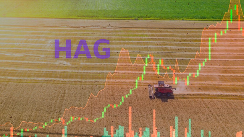 Từ đầu th&aacute;ng 3 đến nay, cổ phiếu HAG đ&atilde; c&oacute; sự hồi phục từ mức gi&aacute; 10.700 đồng/cp l&ecirc;n hơn 13.000 đồng.