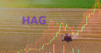 VN-Index bứt phá vượt mốc 1.500, HAG tím lịm sau tâm thư của tập đoàn