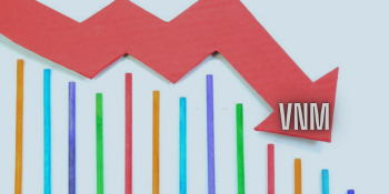 Vinamilk rời Top 10 vốn hoá lớn để Novaland thế chỗ