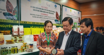 Tập trung vào phân khúc cà phê đặc sản để tối ưu giá trị cà phê Việt