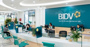 Những cổ phiếu âm thầm leo đỉnh dù VN-Index chỉ quanh mốc 1.000 điểm