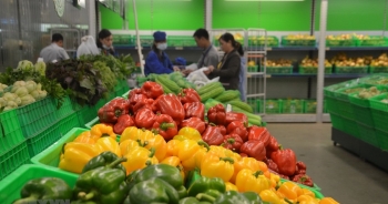 Xuất khẩu rau quả tháng 2 tăng mạnh 53,1% so với cùng kỳ 2022