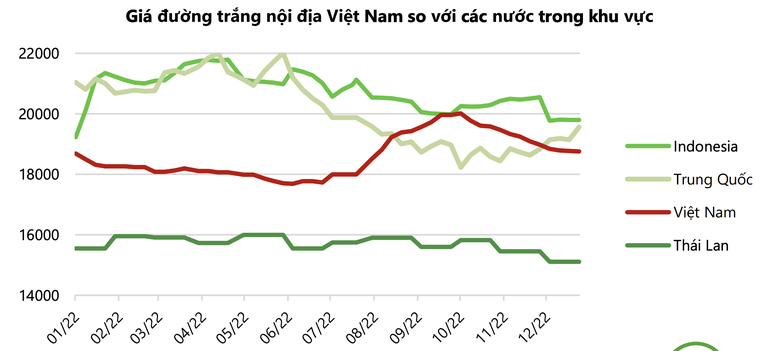 So kè triển vọng 3 Trang Nhà Cái 555win.com - Đăng Nhập +555k đầu ngành mía đường năm 2023