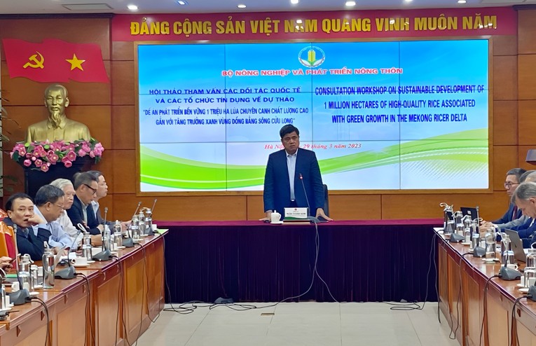World Bank có thể dành 120 triệu USD cho đề án về lúa bền vững tại ĐBSCL