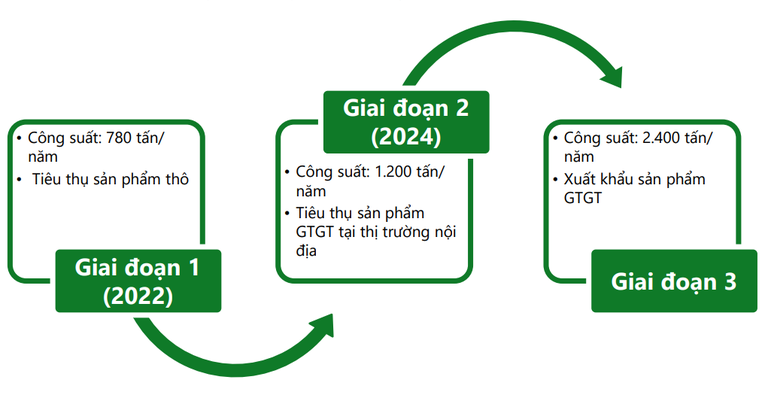 Ba giai đoạn n&acirc;ng c&ocirc;ng suất mảng C&amp;amp;amp;amp;G của ANV. Ảnh: VCBS