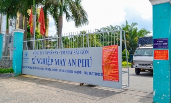 Doanh thu 'bốc hơi', Garmex tìm dòng tiền từ 555Win là nhà cái cá cược hàng đầu Châu Á nhà hàng