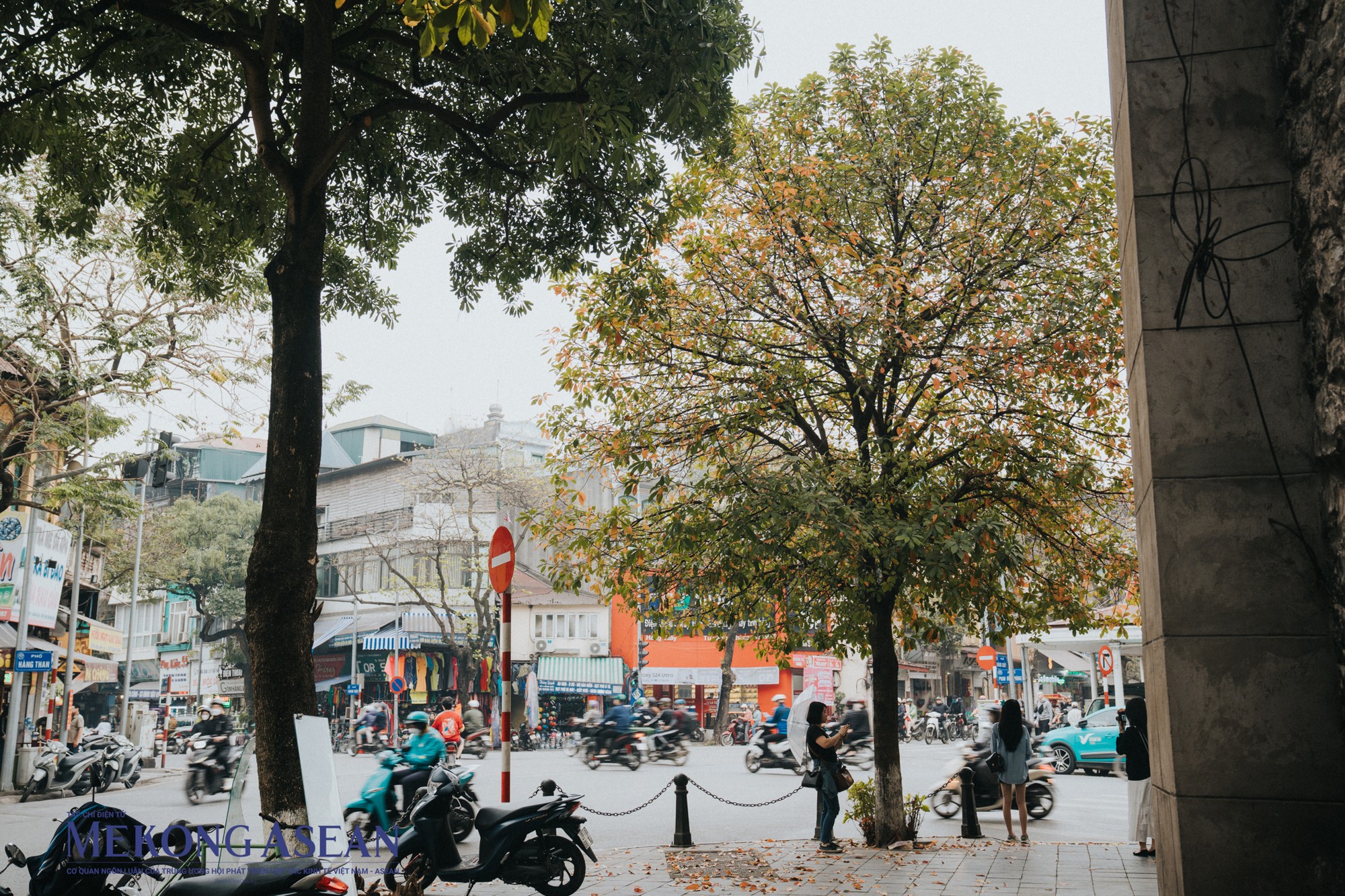 M&ugrave;a c&acirc;y thay l&aacute; ở th&agrave;nh phố H&agrave; Nội cũng kh&ocirc;ng k&eacute;o d&agrave;i l&acirc;u. Khung cảnh l&atilde;ng mạn n&agrave;y chỉ v&agrave;i h&ocirc;m nữa th&ocirc;i sẽ phủ một sắc m&agrave;u mới, ch&agrave;o đ&oacute;n m&ugrave;a h&egrave; rực rỡ.
