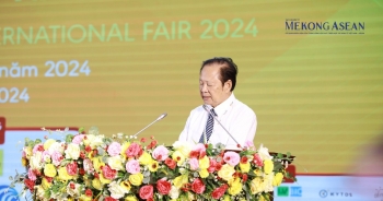 Xuất khẩu tôm dự kiến mang về hơn 4 tỷ USD trong năm 2024