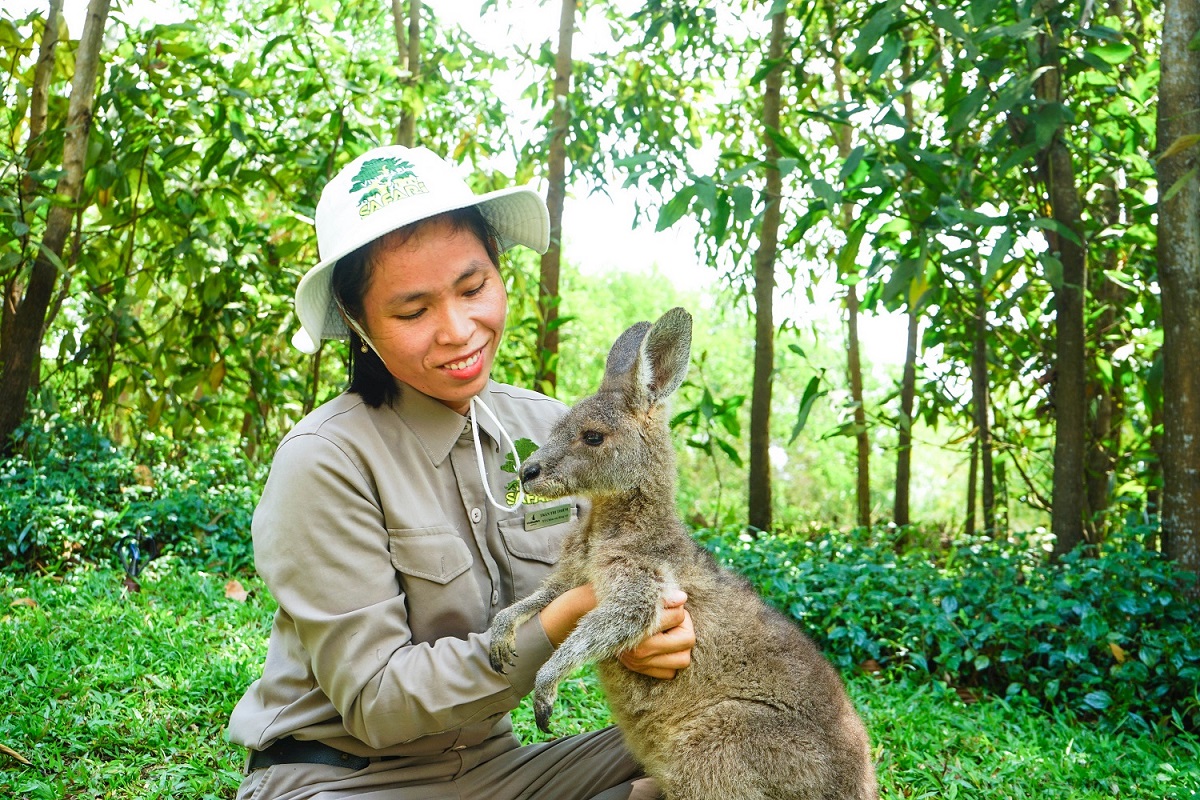 Chuyện của những người l&agrave;m nghề 'bảo mẫu' động vật hoang d&atilde;