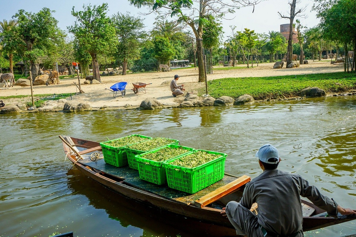 Chuyện của những người làm nghề 'bảo mẫu' động vật hoang dã