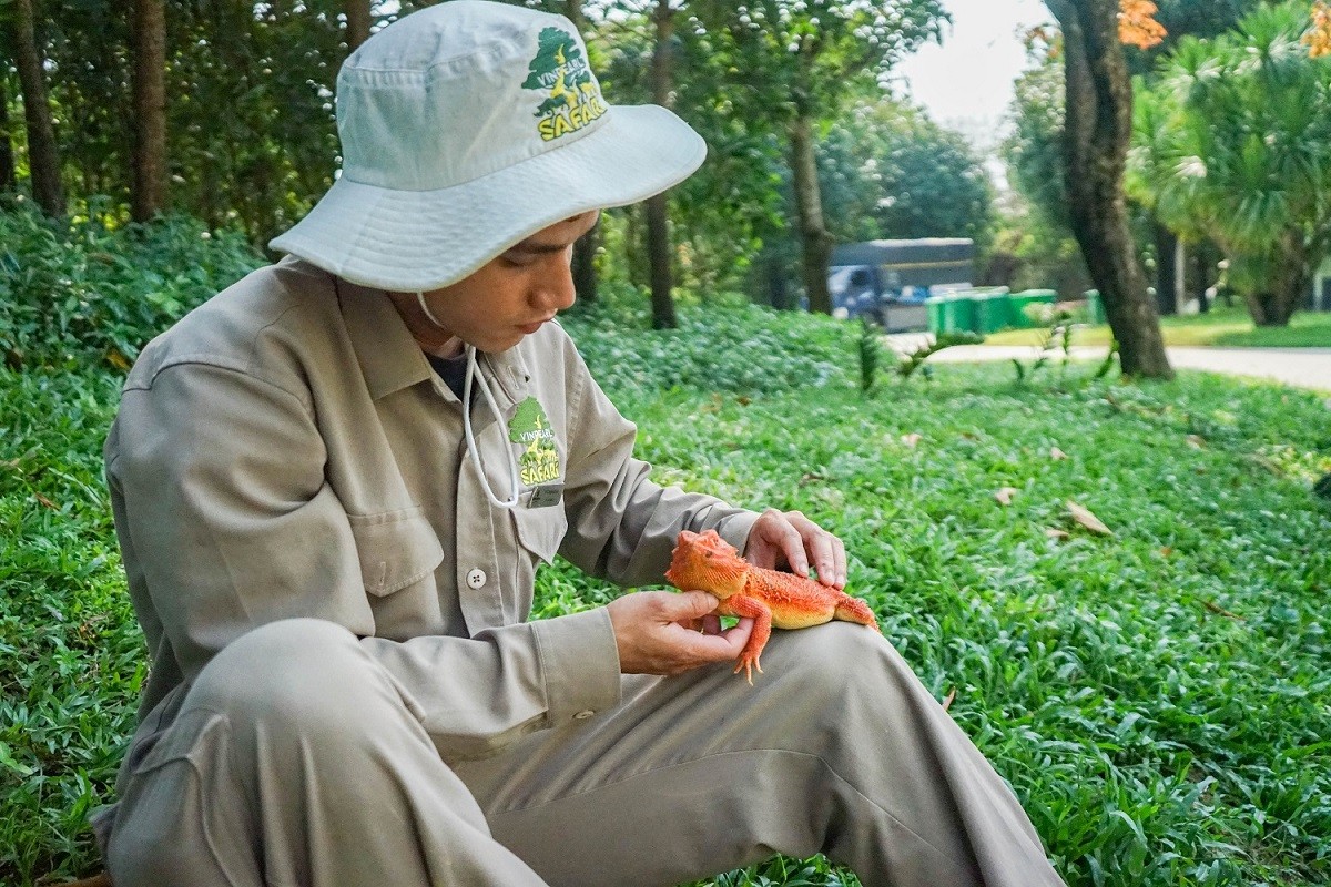 Chuyện của những người làm nghề 'bảo mẫu' động vật hoang dã