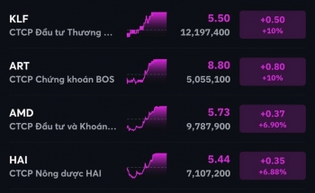 Nhóm bluechip bùng nổ kéo VN-Index tăng 24 điểm, 'họ FLC' bất ngờ tím lịm