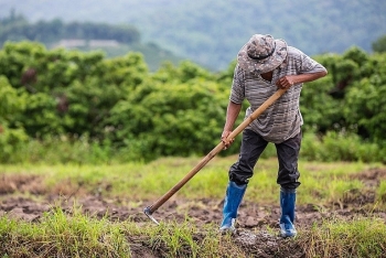 ADB ký khoản vay hỗ trợ nông dân châu Á phục hồi kinh tế sau đại dịch