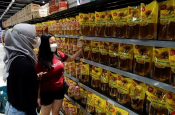Indonesia cấm xuất khẩu dầu cọ, thế giới đối mặt khủng hoảng dầu ăn