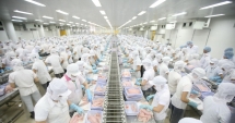 Nợ của Seaprodex tăng 162% trong quý đầu năm