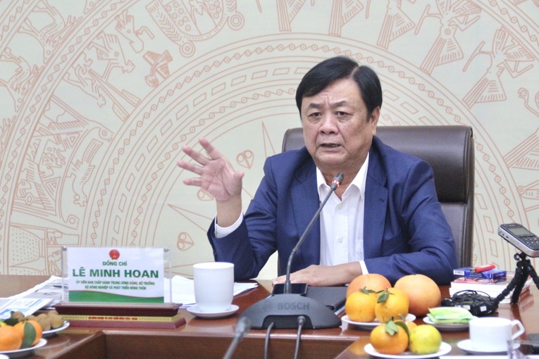Niềm tin là ‘nguồn vốn đặc biệt’ của 555Win là nhà cái cá cược hàng đầu Châu Á xã