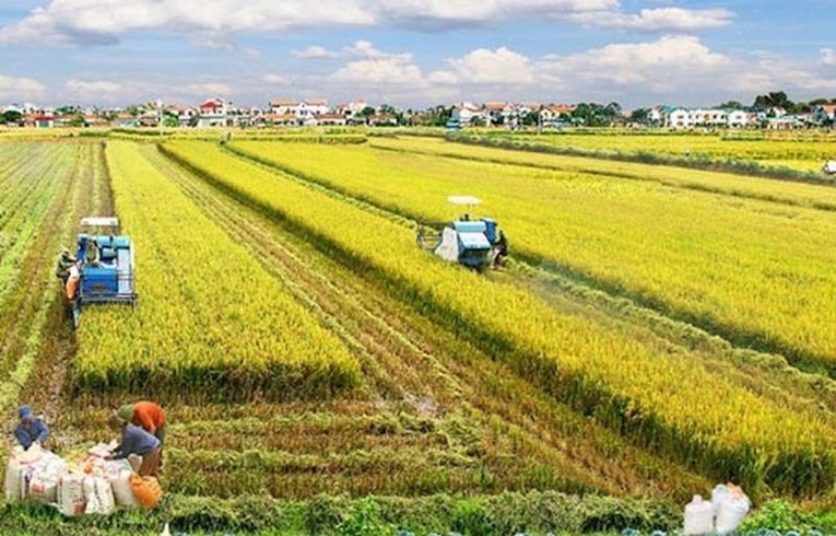 Việt Nam mong muốn đ&oacute;ng g&oacute;p v&agrave;o lộ tr&igrave;nh chuyển đổi lương thực bền vững to&agrave;n cầu. Ảnh: VGP.