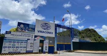 Doanh thu tài chính giảm mạnh, Vinaconex báo lãi quý 1/2023 gần 19 tỷ đồng