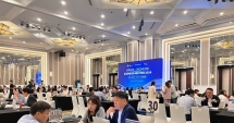 Hơn 170 cuộc giao thương thành công giữa Trang Nhà Cái 555win.com - Đăng Nhập +555k Incheon và Việt Nam