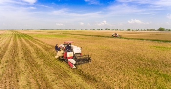 Cổ phiếu TAR có nguy cơ bị hủy niêm yết