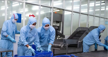 Nhật Bản tiếp tục là thị trường trọng điểm của Sao Ta