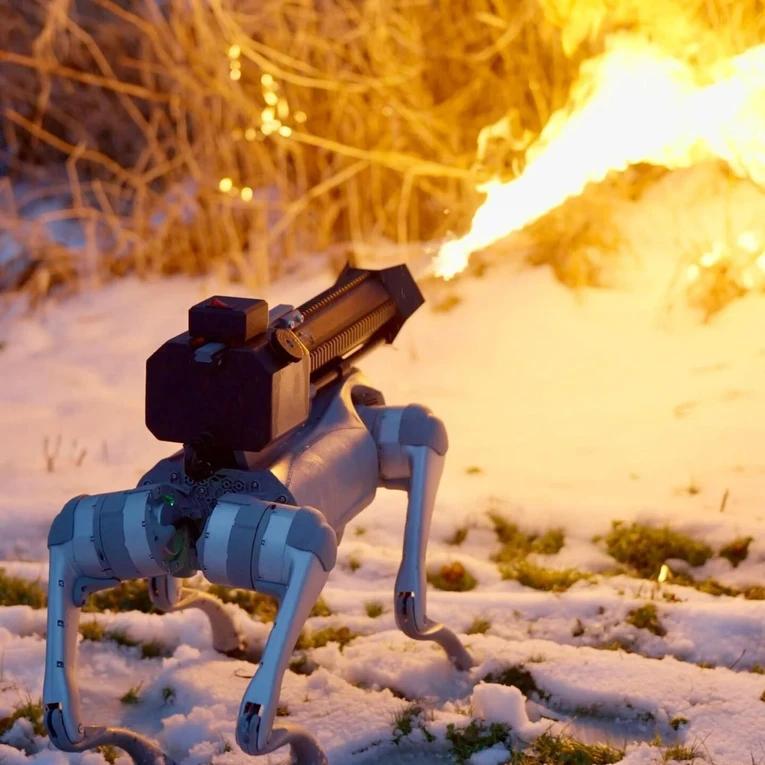 Ch&uacute; ch&oacute; robot &amp;amp;amp;quot;Thermonator&amp;amp;amp;quot; gắn s&uacute;ng phun lửa tr&ecirc;n lưng. Ảnh: Throwflame