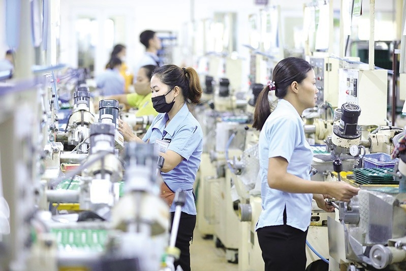 Nghị quyết 68 của Bộ Chính trị: 8 điểm nhấn chính sách mở đường cho kinh tế tư nhân