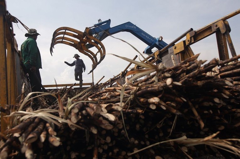 Những c&acirc;y m&iacute;a đ&atilde; thu hoạch tr&ecirc;n một chiếc xe tải ở tỉnh Saraburi, Th&aacute;i Lan. Ảnh: Bloomberg