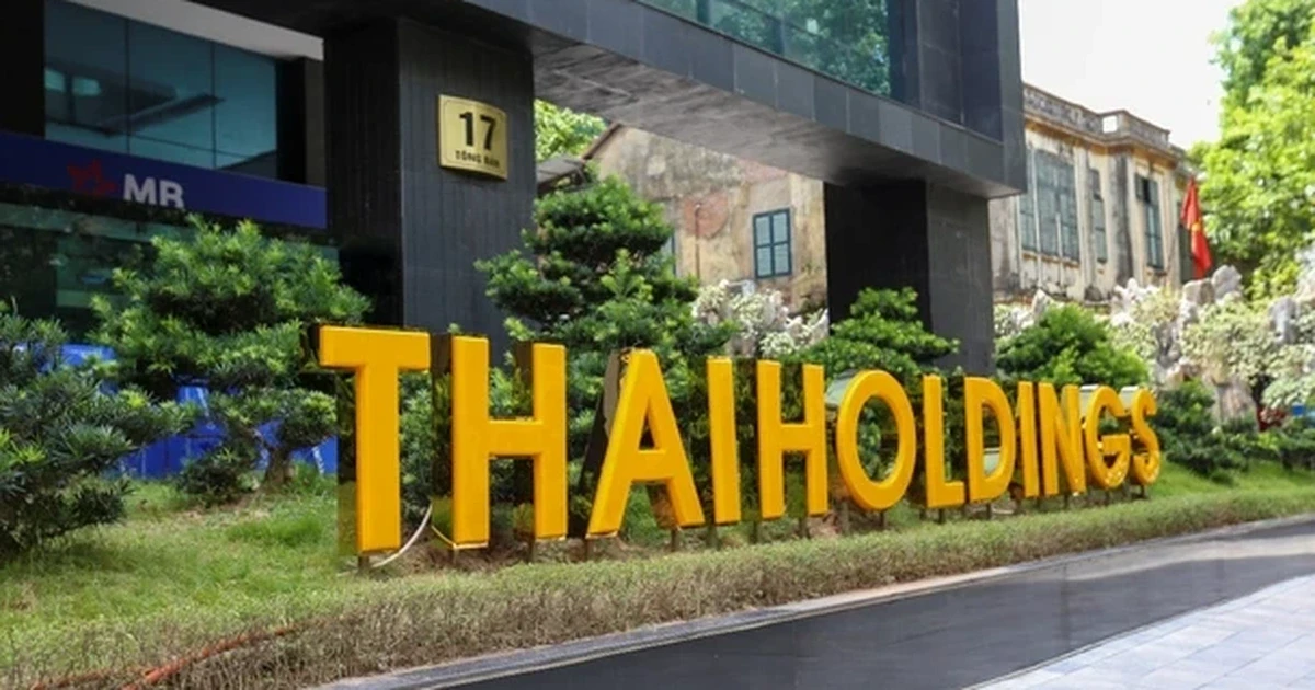 Những cổ phiếu 'rơi như thiên thạch', THD của Thaiholdings lao nhanh nhất