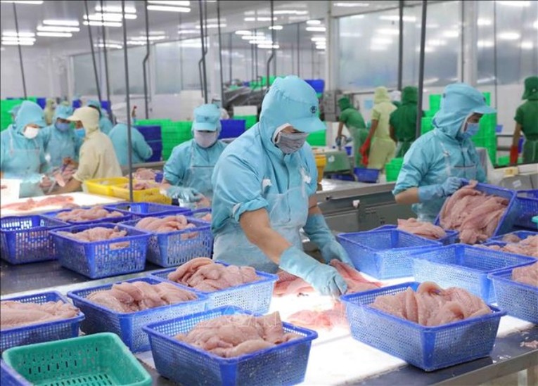 Chế biến, xuất khẩu t&ocirc;m v&agrave; c&aacute; tra của PAN c&oacute; lợi nhuận t&iacute;ch cực. Ảnh: TTXVN.