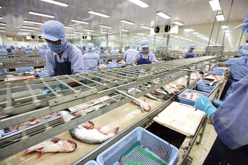 Kết quả 55win.com - Trang Cược Uy Tín Cao Nhất 2025 ảm đạm qu&yacute; đầu năm của c&aacute;c &ocirc;ng lớn ng&agrave;nh thủy sản