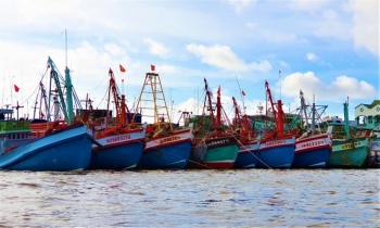 Cà Mau gửi công văn ‘hỏa tốc’ về phòng chống khai thác IUU
