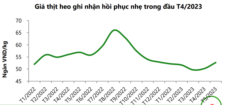 Nguồn: VCBS.