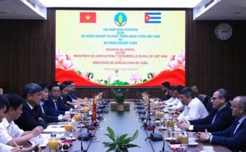 Cuba muốn thu hút các doanh nghiệp Việt Nam sang đầu tư lúa gạo